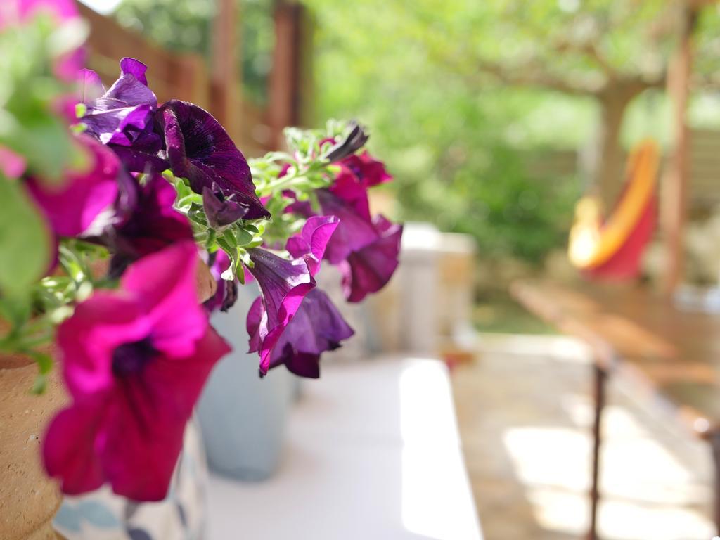 Villa Victoria Boutique Apartments ซิโวตา ภายนอก รูปภาพ